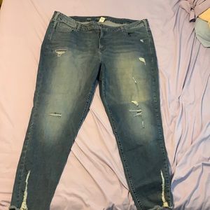 Lane Bryant distressed skinny jeans. Size 24R. Never worn.